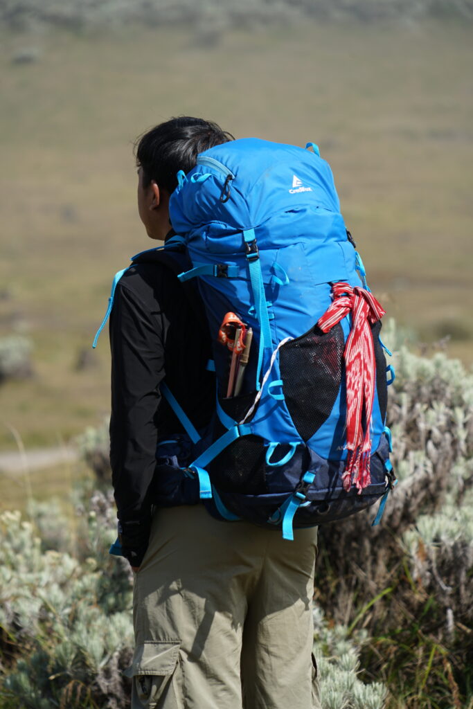 img 7775